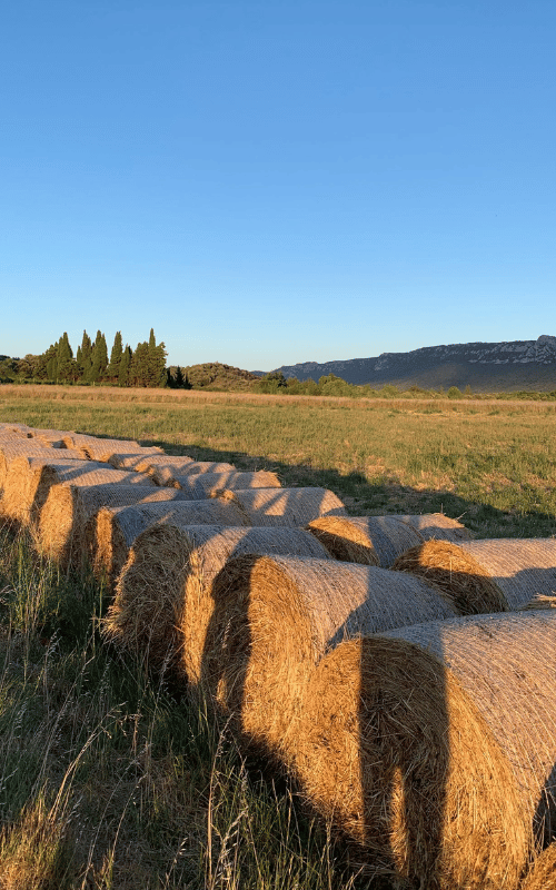 exterieur caldera (1)